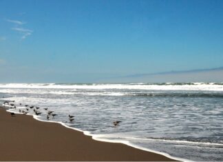 7 Mejores Playas En Mollendo