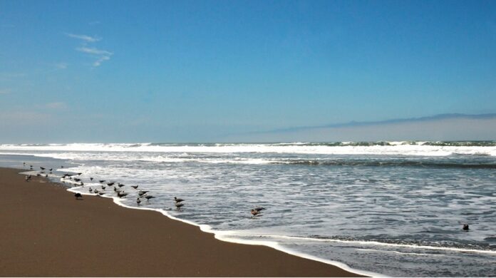 7 Mejores Playas En Mollendo