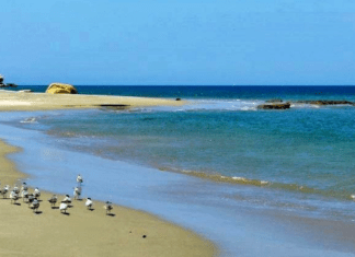 11 Mejores Playas De Moquegua