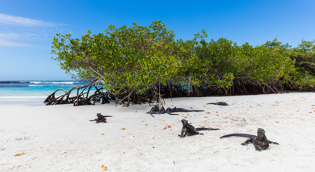 Les 10 plus belles plages de Salvador de Bahia