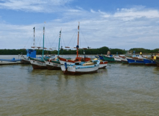 5 Mejores Playas De Zarumilla