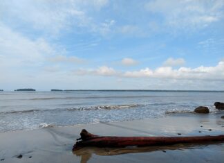 9 Mejores Playas De Buenaventura