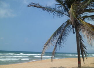 11 Mejores Playas De Carabobo