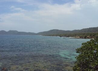 9 Mejores Playas De Higuerote