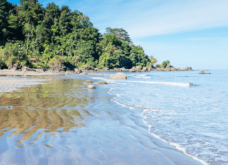 5 Mejores Playas De Chocó