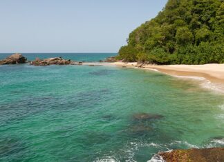 13 Mejores Playas De Venezuela