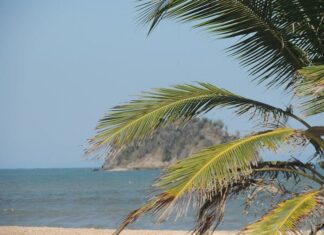 6 Mejores Playas De Carúpano