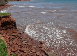 5 Mejores Playas De Isla Del Príncipe Eduardo