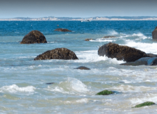 10 Mejores Playas De Massachusetts