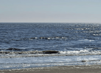 9 Mejores Playas De Nueva Jersey