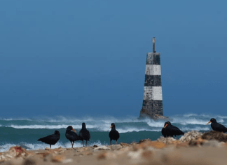 4 Mejores Playas De Ottawa