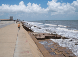 11 Mejores Playas De Texas
