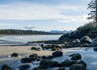 11 Mejores Playas De Vancouver