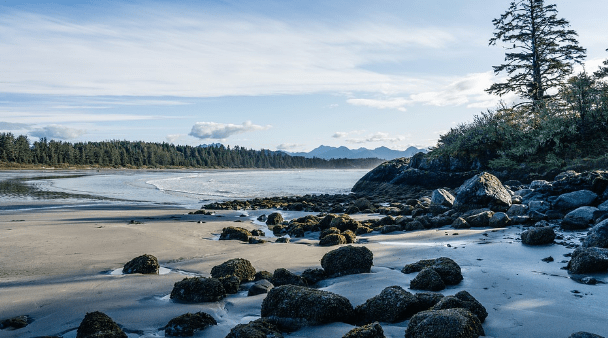 11 Mejores Playas De Vancouver