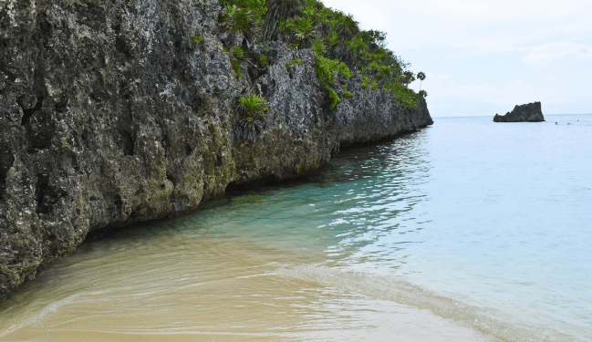 6 Mejores Playas De La Isla De La Bahía