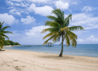 7 Mejores Playas De Roatán