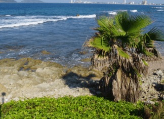 7 Mejores Playas De Sinaloa