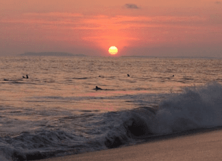 4 Mejores Playas De Jacó