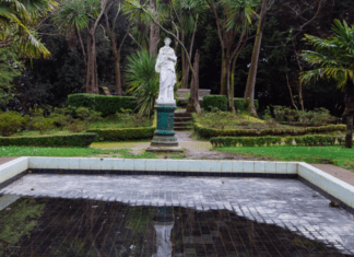 4 Museos De Lota Que Debes Visitar
