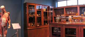2 museos de Independencia que no puedes perderte