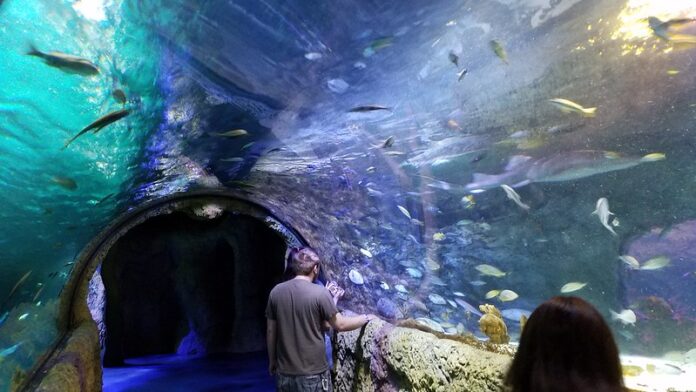 6 Cosas para hacer en Orlando aparte de los Parques