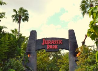 4 Cosas Qué hacer en Orlando con Niños