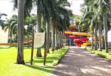 Qué hacer con Niños en Asunción