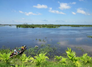 6 Cosas Gratis que Hacer en Iquitos Lago Moronacocha