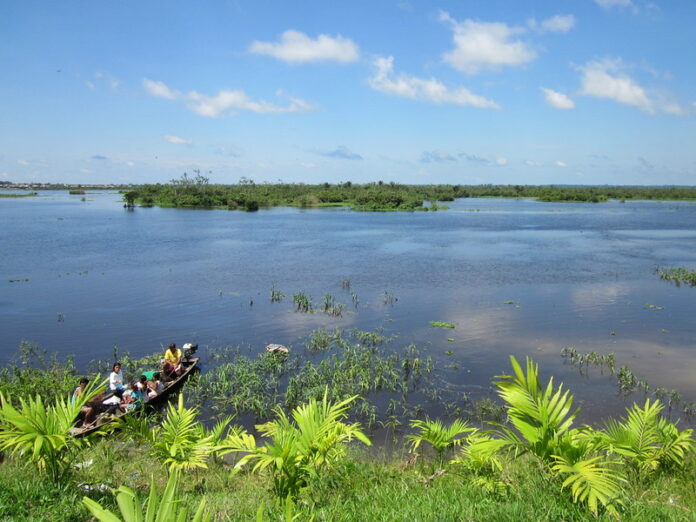 6 Cosas Gratis que Hacer en Iquitos Lago Moronacocha