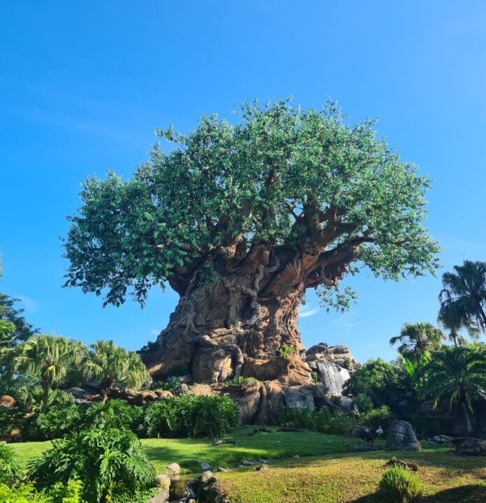 Nuestra Aventura Familiar en Disney’s Animal Kingdom: Un Día Mágico en la Jungla