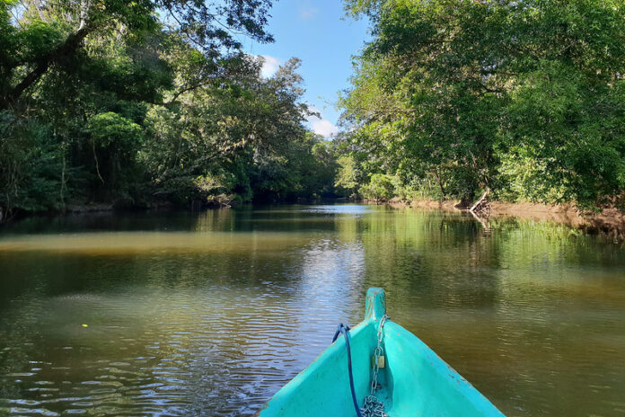 Explorando 7 Maravillas Naturales de Nicaragua: Guía Turística para el Aventurero Reserva Biológica Indio Maíz