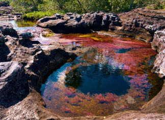 Descubre los Mejores 9 Atractivos Naturales de Colombia Caño Cristales