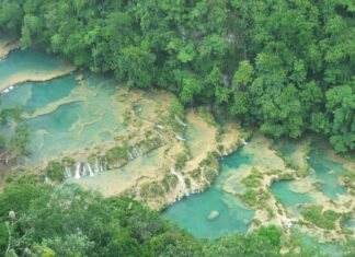 Explorando Semuc Champey, Guatemala: Una Guía Completa para Viajeros Semuc Champey