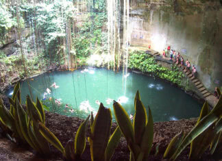 Los 14 Mejores Cenotes de México: Una Aventura Inolvidable Cenote Ik Kil