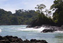 9 Atractivos Naturales de Costa Rica Parque Nacional Manuel Antonio