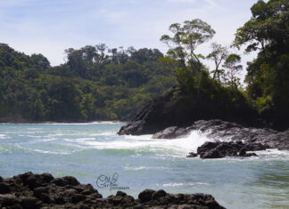 9 Atractivos Naturales de Costa Rica Parque Nacional Manuel Antonio