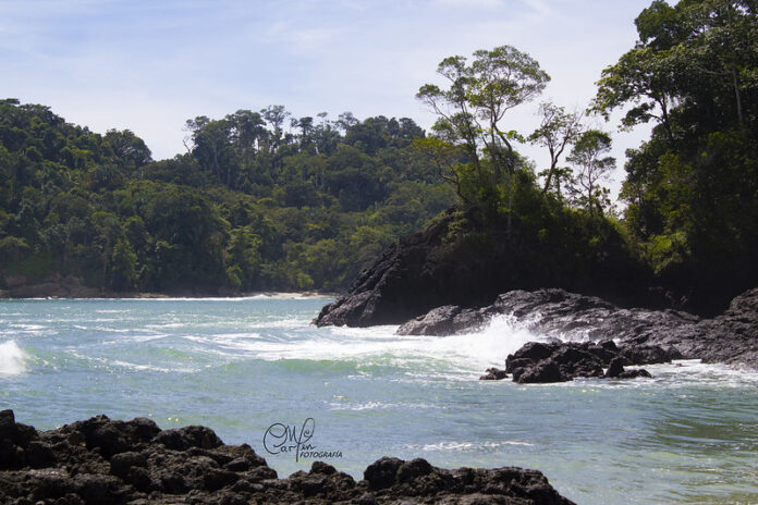 9 Atractivos Naturales de Costa Rica Parque Nacional Manuel Antonio