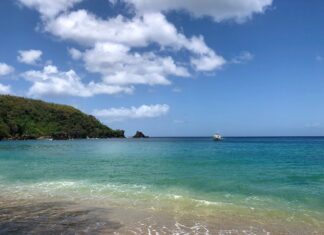 Las 8 Mejores Playas de Trinidad y Tobago Playa de Englishman's Bay