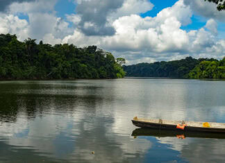 7 Atractivos turísticos de Suriname: Un Paraíso por Descubrir Reserva Natural Raleighvallen
