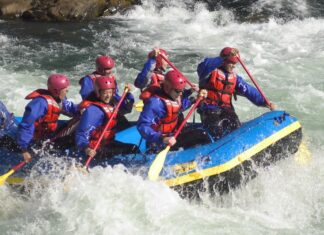 15 Cosas que Hacer en Pucón Para unas Vacaciones de Ensueño Practicar Canopy