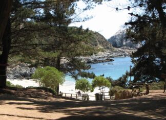 5 Mejores Playas de Algarrobo: Un Paraíso Costero que No Puedes Perderte Playa El Canelo, Algarrobo
