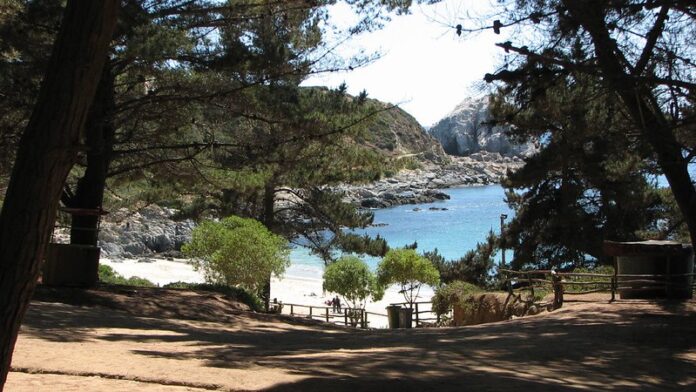 5 Mejores Playas de Algarrobo: Un Paraíso Costero que No Puedes Perderte Playa El Canelo, Algarrobo