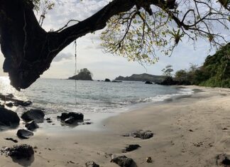 10 Mejores Atractivos Turísticos de Santiago de Veraguas Parque Nacional Cerro Hoya