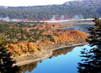Cosas Qué Ver y Hacer en Melipeuco Parque Nacional Conguillío