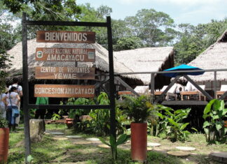 6 Mejores Atractivos Turísticos de Leticia Parque Nacional Natural Amacayacu
