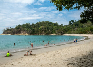 Mejores Cosas Que Ver y Hacer en Costa Rica Parque Nacional Manuel Antonio