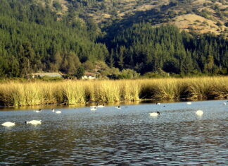 6 Mejores Atractivos Turísticos de Vichuquén Laguna de Torca