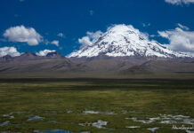 Cosas que Ver y Hacer en Oruro Sajama