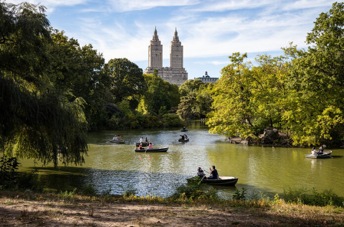 Cosas Gratis Que Hacer En Nueva York Perderse en Central Park
