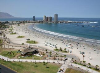 Cosas qué Ver y Hacer en Iquique Playa Cavancha, Iquique